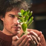 Ian Somerhalder Instagram – Today is #WorldEnvironmentDay! How are you celebrating? I know that solving the worlds environmental problems is a daunting and overwhelming task. It’s too much for one single person to conceptualize. May I suggest one easy way to start? Do you want a bright warm ray of hope into your day/week/life? One that doesn’t cost you a dollar? Go to @kisstheground and Watch OUR FILM @kissthegroundmovie on @netflix And if you don’t have a Netflix account, you can stream the educational version on our website for free www.kisstheground.com
Let me know what you think after you see the film. I will be monitoring these comments like a hawk.