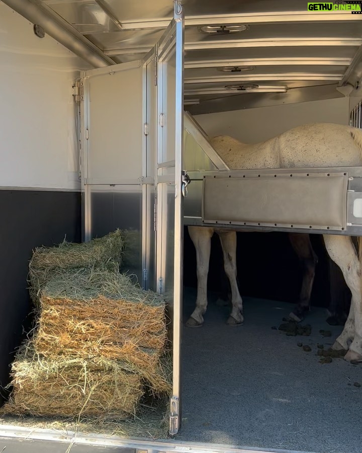 Ian Somerhalder Instagram - After being on the road coming home loading up animals and unpacking the little gifts that make my farm life so good… THANK YOU @fleetwoodrv for building my dream home away from home. The flowing river of memories created in this thing is magic. Pure magic. If you want to disconnect but have a literal circus ☺️ that you must travel with, no matter how large or small- this is the way. Wow. Just find the right place, get organized for optimal peace and just BREATHE. Good luck out there. Nature awaits you.