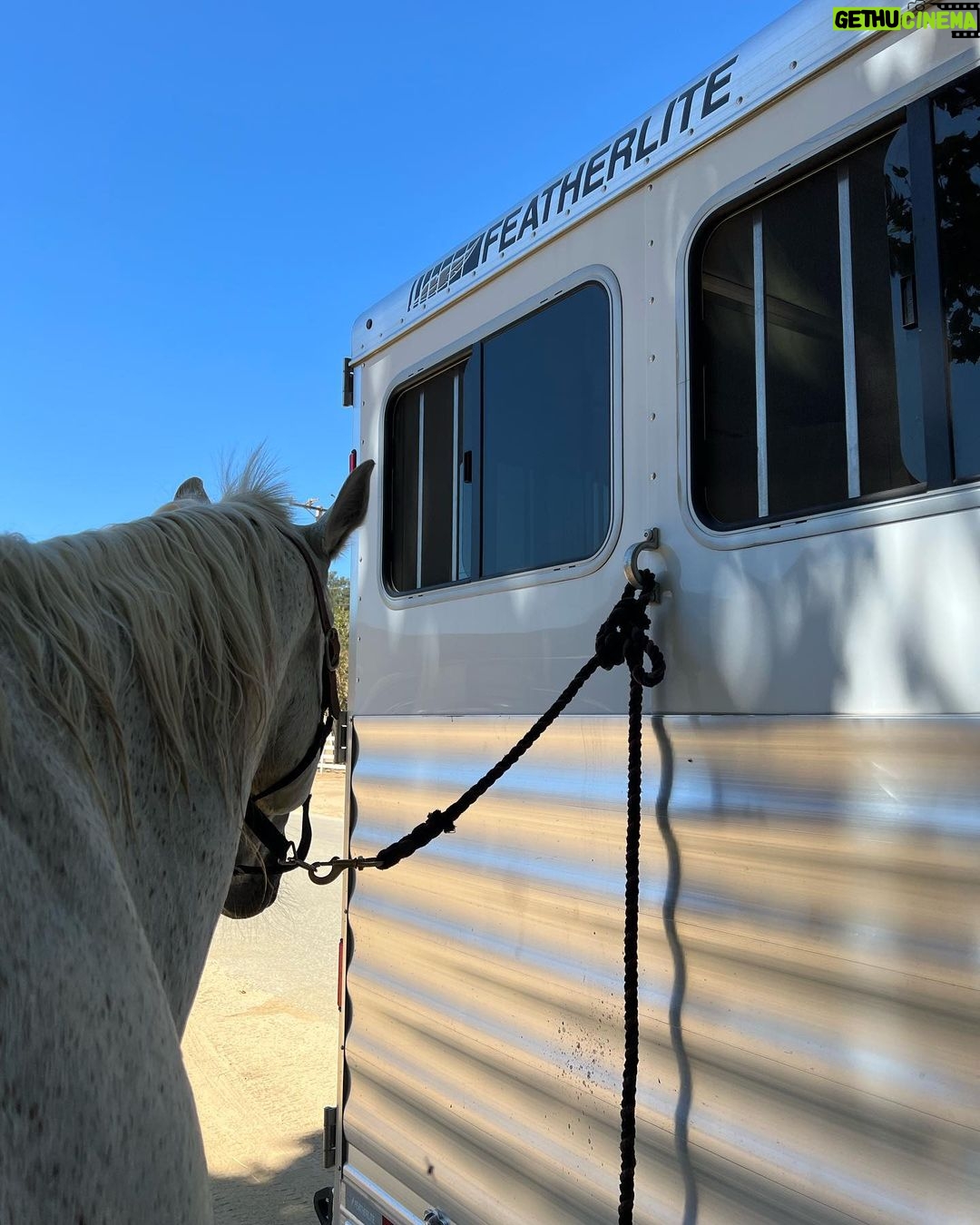 Ian Somerhalder Instagram - After being on the road coming home loading up animals and unpacking the little gifts that make my farm life so good… THANK YOU @fleetwoodrv for building my dream home away from home. The flowing river of memories created in this thing is magic. Pure magic. If you want to disconnect but have a literal circus ☺️ that you must travel with, no matter how large or small- this is the way. Wow. Just find the right place, get organized for optimal peace and just BREATHE. Good luck out there. Nature awaits you.