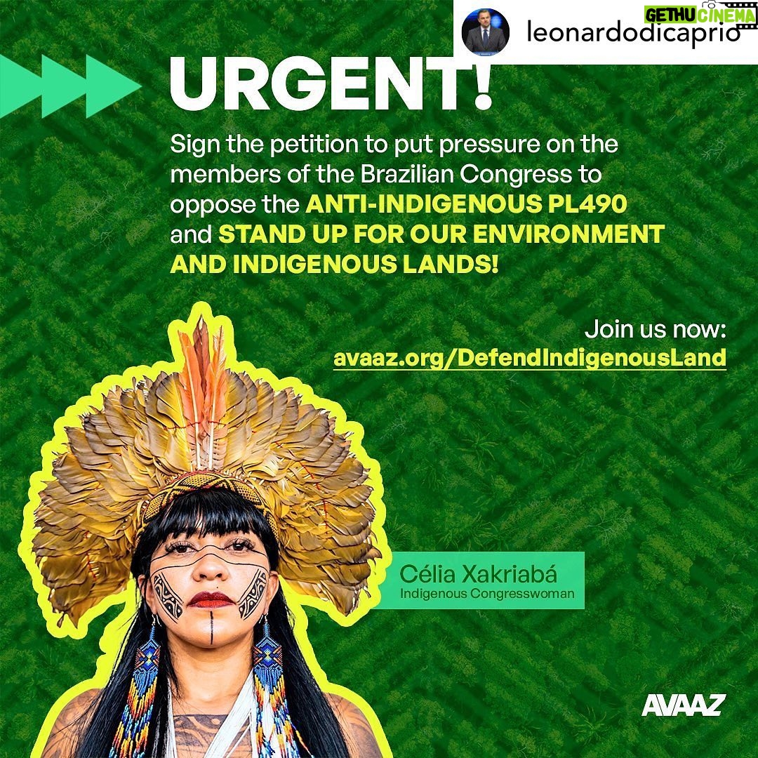 Ian Somerhalder Instagram - THIS IS INCREDIBLY IMPORTANT• @leonardodicaprio Please join me in supporting Brazilian Indigenous leader @celia.xakriaba who is asking fellow Brazilian Congress members to oppose the anti-Indigenous bill PL490. The key vote is tomorrow; please consider signing her petition at the #LinkInBio. ——— Junte-se a mim no apoio à liderança indígena @celiaxakriaba, que está pedindo aos colegas membros do Congresso brasileiro que se oponham ao projeto de lei anti-indígena PL490. #PL490NÃO A votação do projeto é amanhã. Por favor, assine a petição.