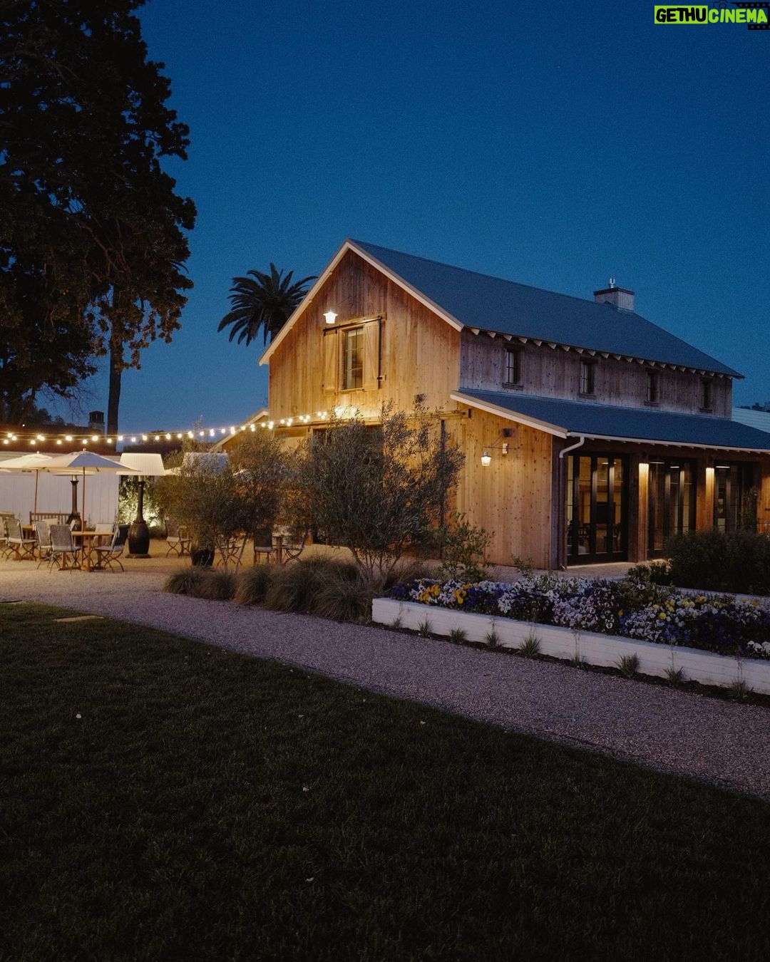 Ian Somerhalder Instagram - Beautiful days at @matteistavernauberge @aubergeresorts nestled in the lovely California wine country. Brought to life through the lens of @nikkireed Thank you for building this place. Places like this are treasures. National treasures. Amazing lyrical landscapes, running around with this crew in search of (and finding) inspiring biodynamic wines. Faces caked in sunblock as my tired pale being rejuvenated in the warm sun shine. I needed this. We all do sometimes. At Mattei’s Tavern you feel history but with subtle modern elegance. I got some quiet time strategizing and reformatting to focus on what is most important. Family, health/wellness, the new film and bourbon all strung together in one long and every-playing melody. Thank you @aubergeresorts for making this a place of peace, wonder and effortless class as it has been since Felix Mattei built and opened the doors with his wife in 1886 here in the vibrant Santa Ynez Valley. Hopefully I will get to sip some of my @brothersbondbourbon one day soon in this lovely famous watering hole. Thank you so very much 💚 The Inn at Mattei's Tavern, Auberge Resorts Collection