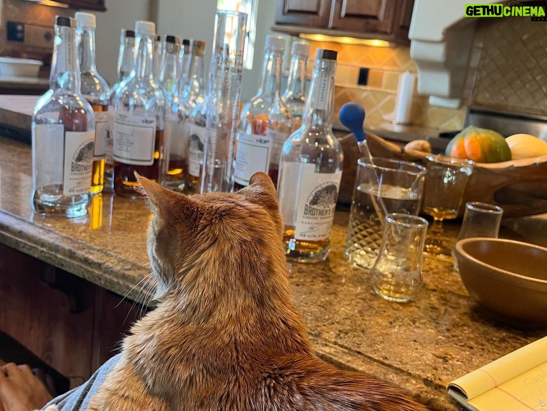 Ian Somerhalder Instagram - Blending this rye was no joke. I literally carried around a wooden crate full of blends for 6 months. It was nuts traveling around with my trusty crate and blending on any flat surface, spending endless hours at our studio and dreaming of what this would become. Traveling back and forth to Lawrenceburg and pouring over barrel numbers, and tasting tasting tasting with my boy Sam Schmeltzer, Master Blender at our distillery. We worked so hard on this. Please enjoy and share! I can’t wait for you to try this. Wow. P.S. my favorite pictures are at the end 😀