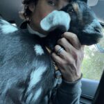 Ian Somerhalder Instagram - Saturdays… Ohhhhhh Saturdays… Saturday morning farm chores when this little girl sat in my lap. She’s now 107lbs and in heat AND climbing the walls… Farm life is the best shit ever.