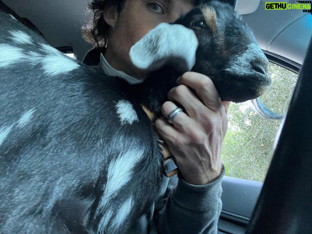 Ian Somerhalder Instagram - Saturdays… Ohhhhhh Saturdays… Saturday morning farm chores when this little girl sat in my lap. She’s now 107lbs and in heat AND climbing the walls… Farm life is the best shit ever.