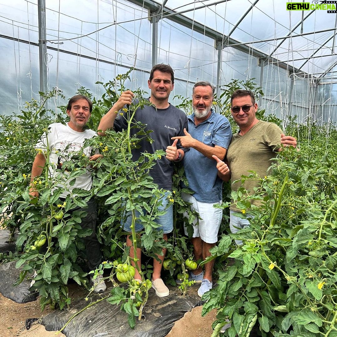 Iker Casillas Instagram - 🍅 🥬 🥕 … Navarrevisca, Spain
