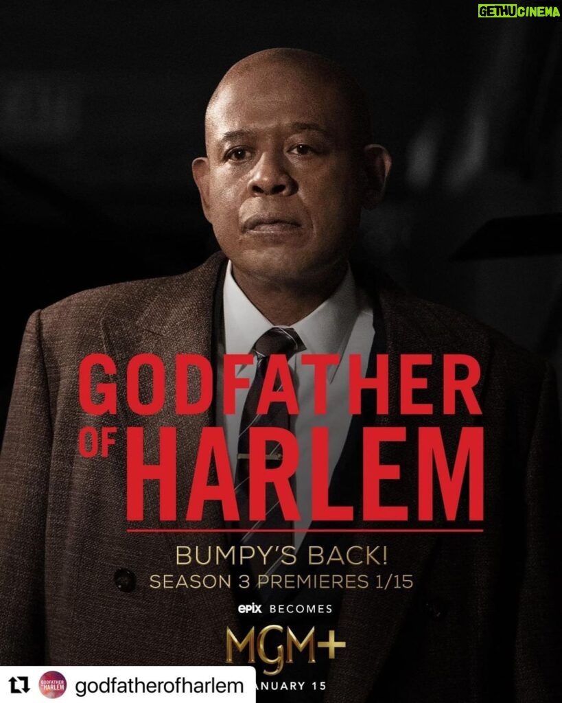 Ilfenesh Hadera Instagram - January 15th!!! #Repost @godfatherofharlem with @use.repost ・・・ Bumpy is back. #GodfatherOfHarlem will return for a new season 1.15.23 on MGM+ (EPIX is becoming MGM+). #mgmplus