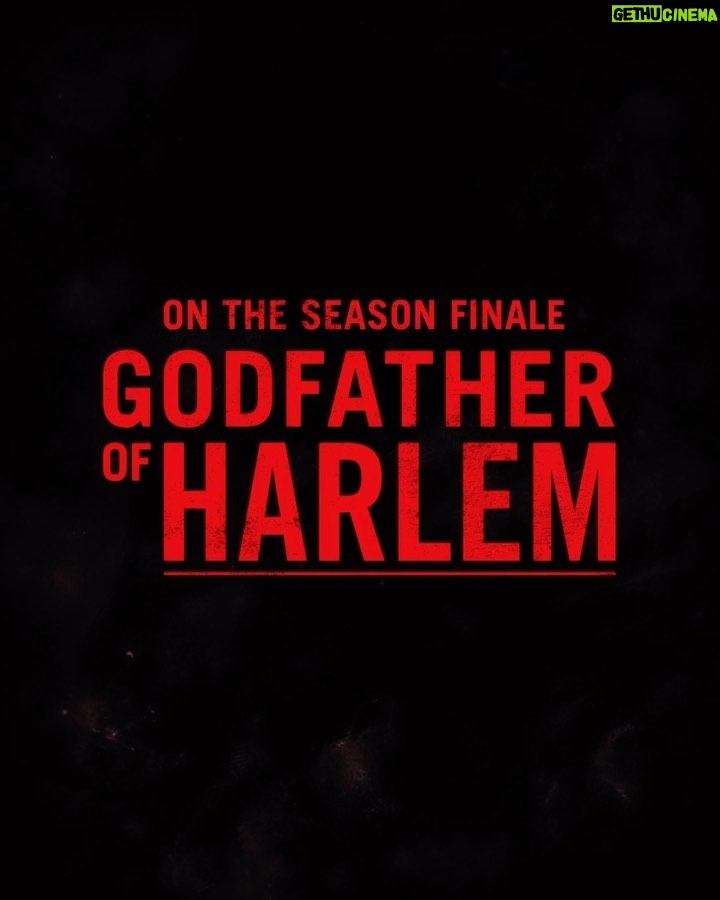 Ilfenesh Hadera Instagram - We knew this day would come 🥀@godfatherofharlem season finale tonight.