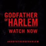 Ilfenesh Hadera Instagram - Harlem-based mob boss Bumpy Johnson was known for moving a crowd through the art of poetry. In this clip, we hear his wise words come to life through the soothing voice of Ilfanesh Hadera, who plays Bumpy’s wife on “Godfather of Harlem.” Catch the series finale of the show on @mgmplus on March 26th. #EBONYMag