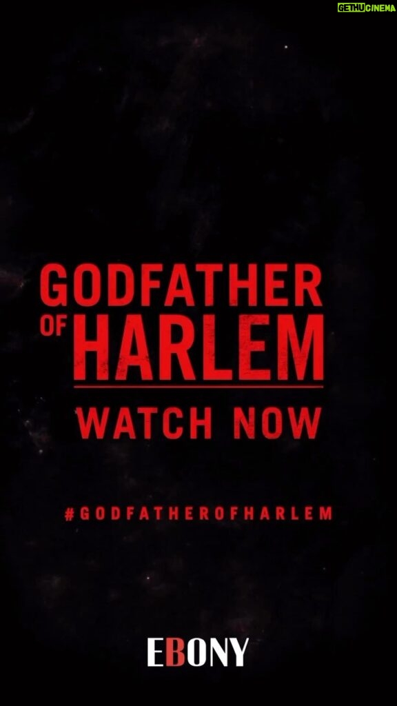 Ilfenesh Hadera Instagram - Harlem-based mob boss Bumpy Johnson was known for moving a crowd through the art of poetry. In this clip, we hear his wise words come to life through the soothing voice of Ilfanesh Hadera, who plays Bumpy’s wife on “Godfather of Harlem.” Catch the series finale of the show on @mgmplus on March 26th. #EBONYMag