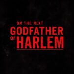 Ilfenesh Hadera Instagram - Sunday on @mgmplus #godfatherofharlem Harlem