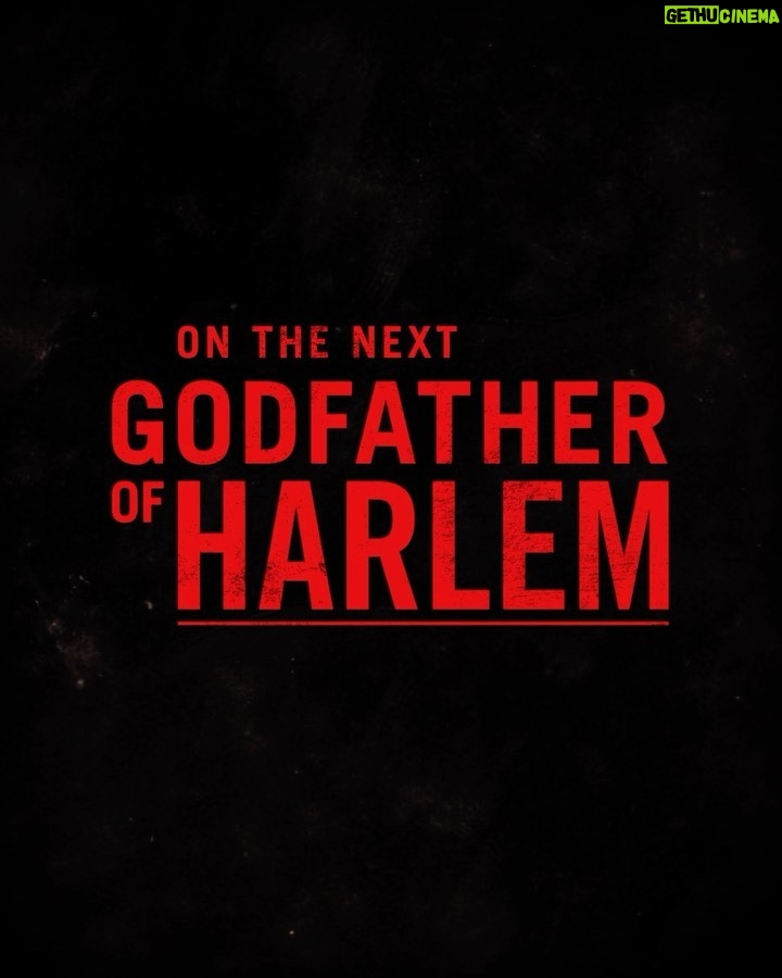 Ilfenesh Hadera Instagram - Sunday on @mgmplus #godfatherofharlem Harlem