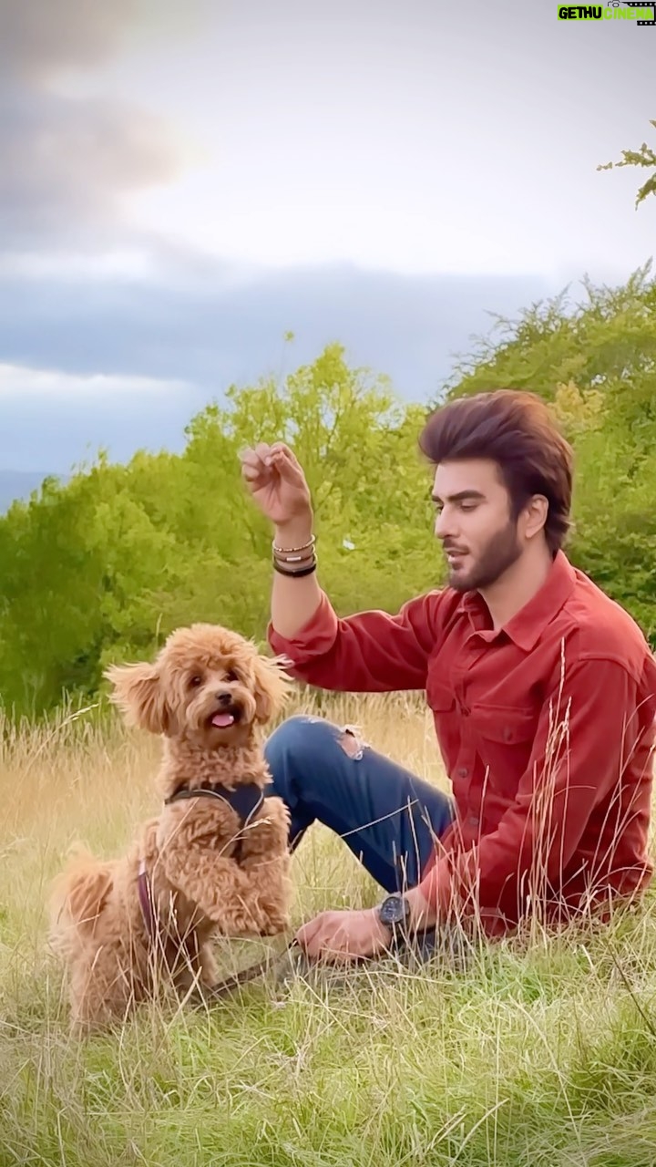 Imran Abbas Instagram - Unconditional love. #maltipoo