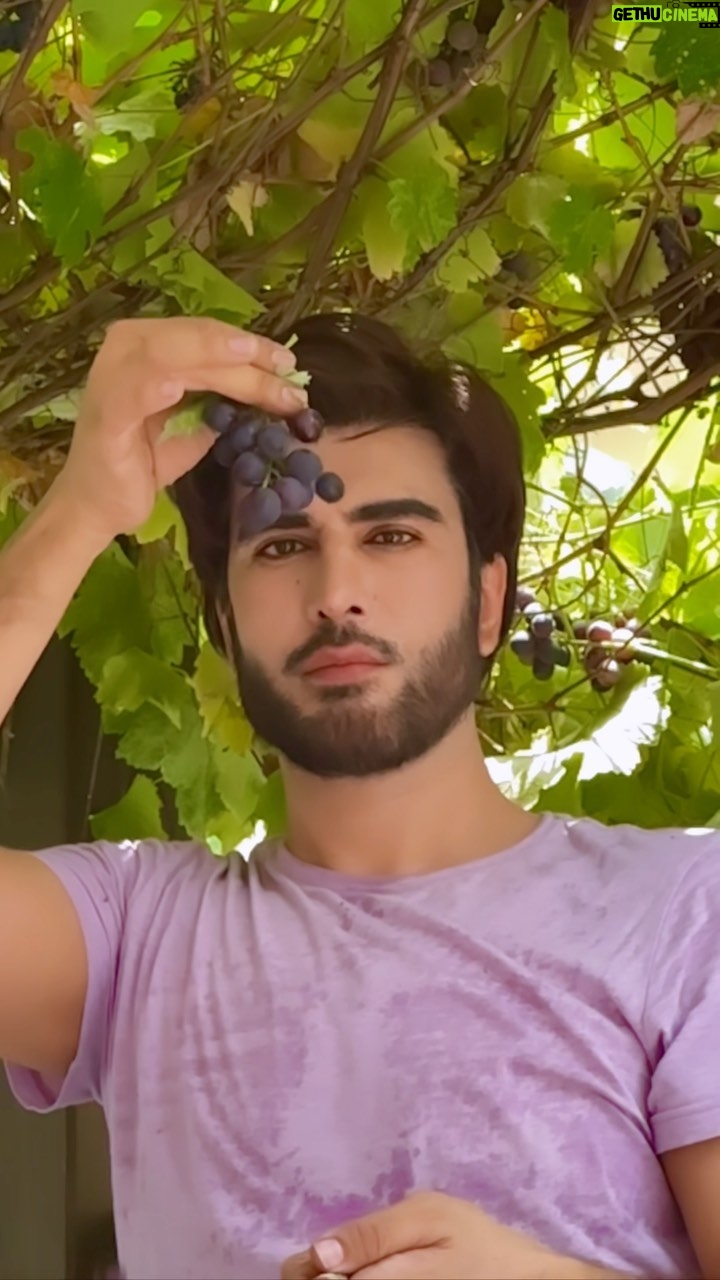 Imran Abbas Instagram - Not at all sour… 🍇🍇🍇🍇 #homesweethome Islamabad, Pakistan