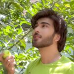 Imran Abbas Instagram - Perks of being home.. With the first harvest of my juicy green “French Granny Smith Apples” . #greenapple #grannysmith Islamabad, Pakistan