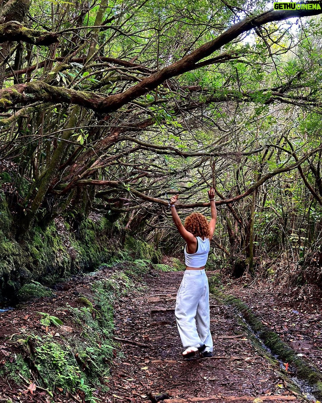 Inês Herédia Instagram - 7 Shades of Green. 💚 Se alguém quiser saber locais específicos de cada ftg, pergunte aqui Madeira