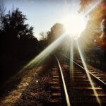 India Eisley Instagram -