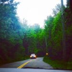 India Eisley Instagram - Vancouver, British Columbia