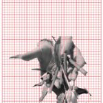India Mullen Instagram - more from my flower obsession- mums hands w graph paper