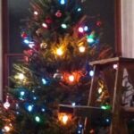 Ingrid Michaelson Instagram - When I say Iove Christmas, this is what I mean. I wrote a song called “This Christmas” and it’s out today. May it bring you some peace or joy or comfort.