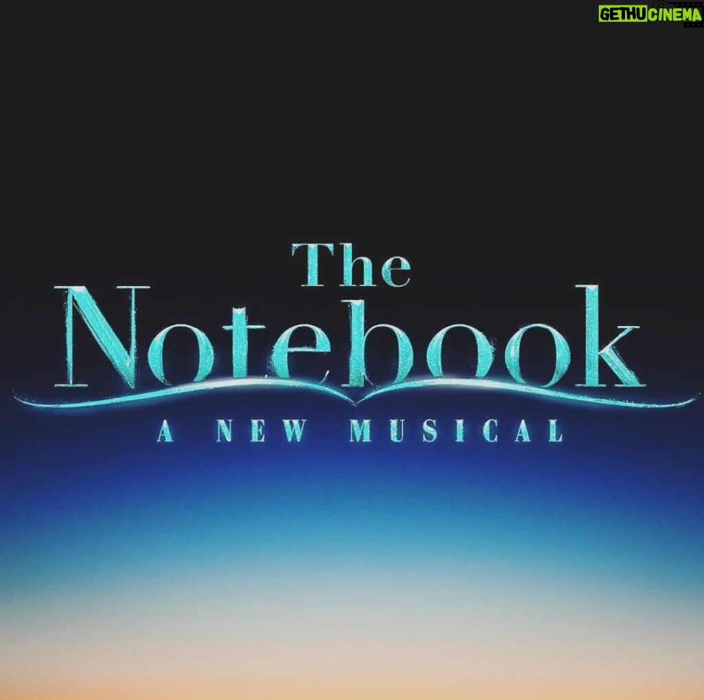 Ingrid Michaelson Instagram - After many delays, I am so excited to report that our magical musical (that I have been working on since 2017) is finally going to be out in the world at @chicagoshakes! Previews starting sept 6 and the show runs till Oct 16. Tickets are on sale now!! Link in bio. 📖 #thenotebookmusical #michaelgreif @schelewilliams @funstetter