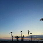 Isabel Durant Instagram - 🌴🛸
