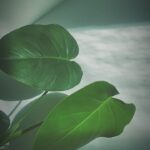 Isabel Durant Instagram - re·frac·tions /rəˈfrakSH(ə)n/