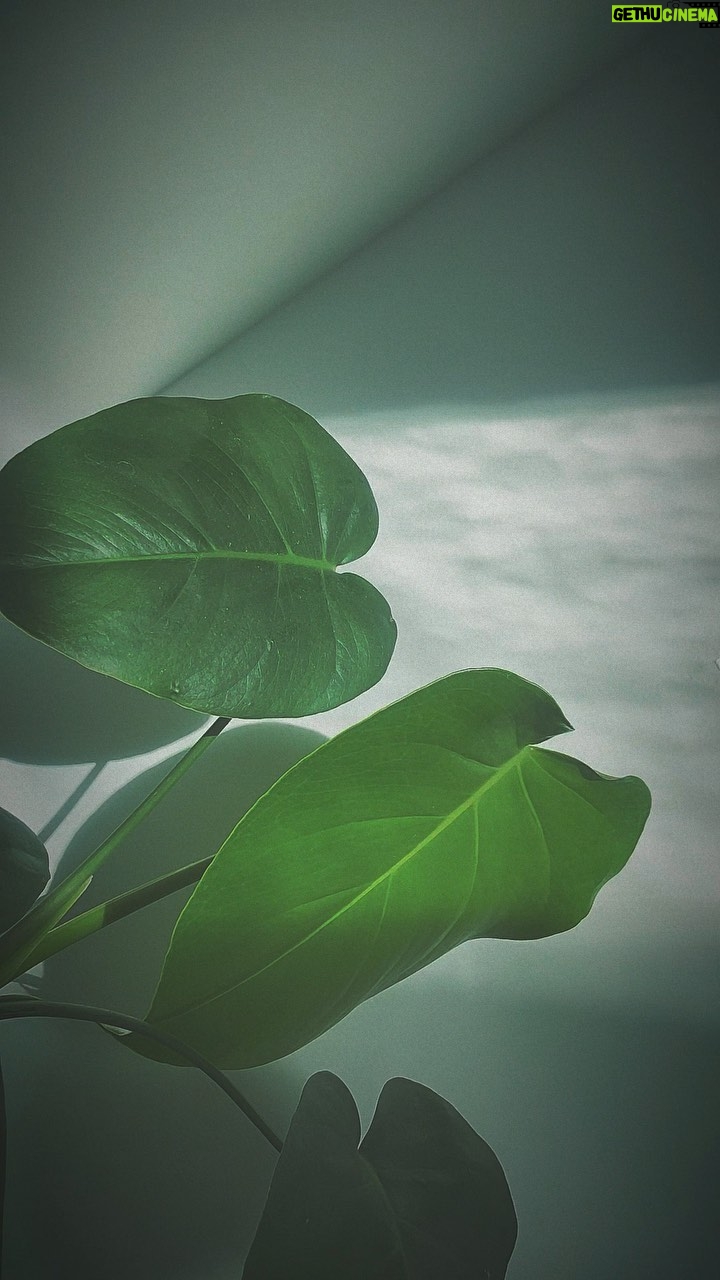 Isabel Durant Instagram - re·frac·tions /rəˈfrakSH(ə)n/
