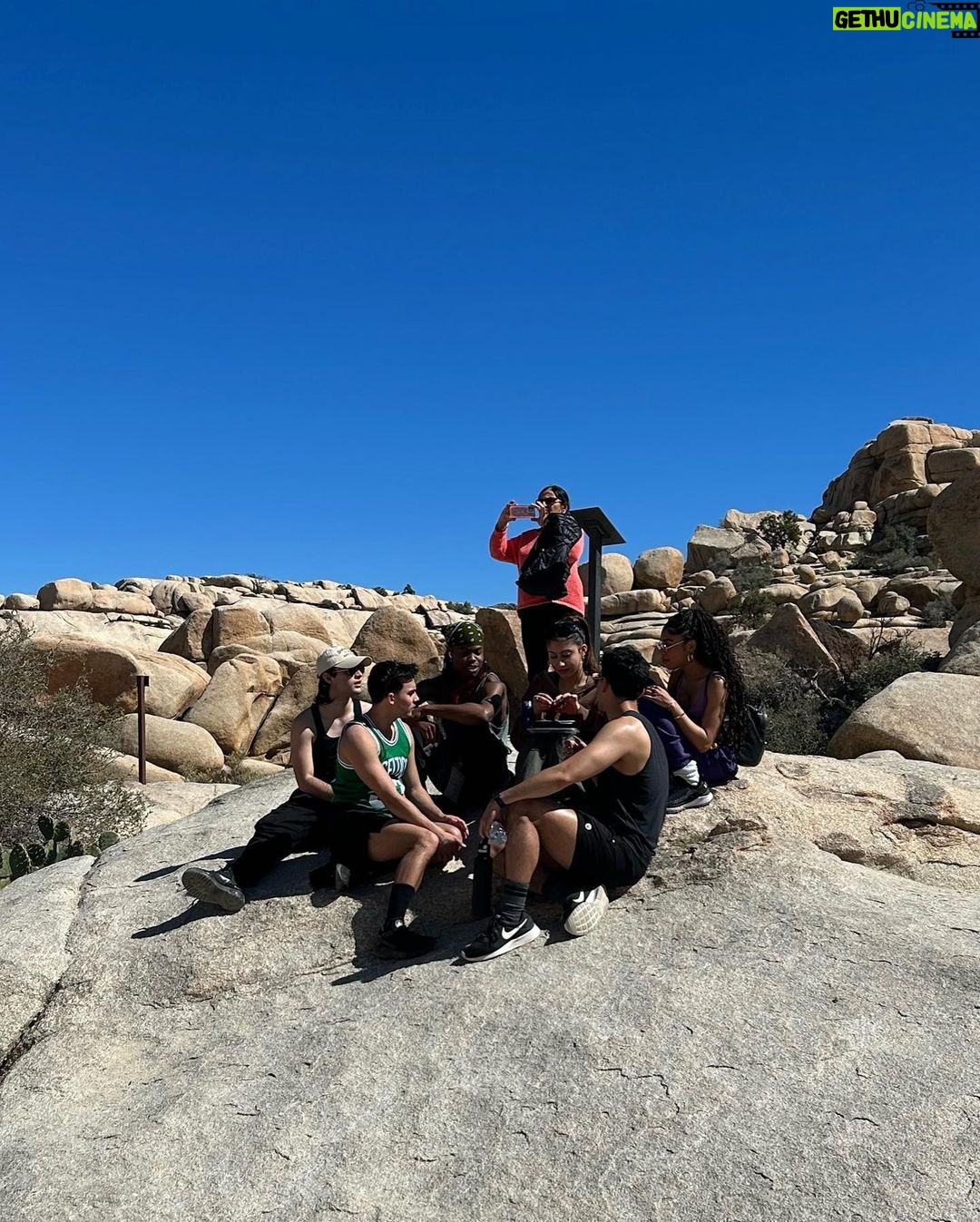 Isabella Ferreira Instagram - joshy tree
