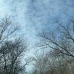 Isis Valverde Instagram – Rolar, engatinhar, andar, correr, voar! I can fly and you?