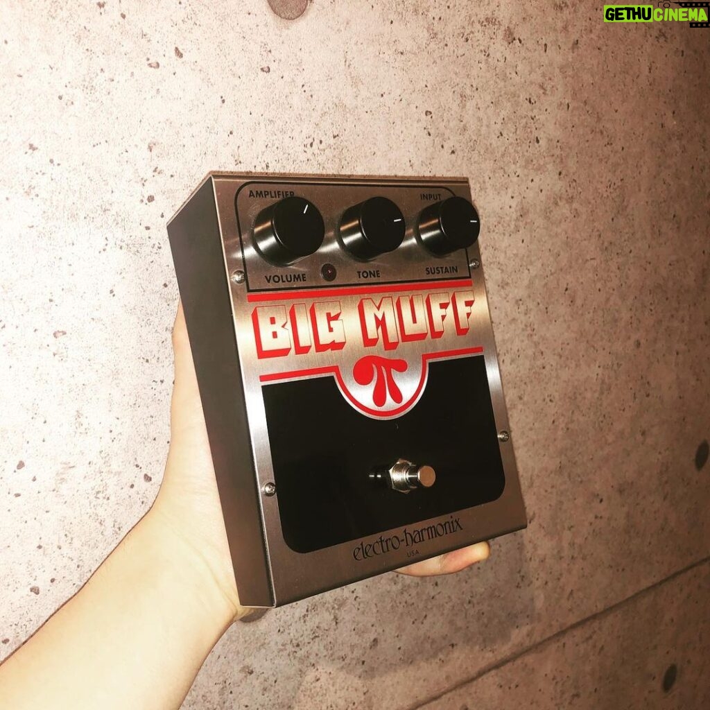 Issei Kobayashi Instagram - . . . BIG MUFF ゲッチュ . . . #bigmuff #electroharmonix