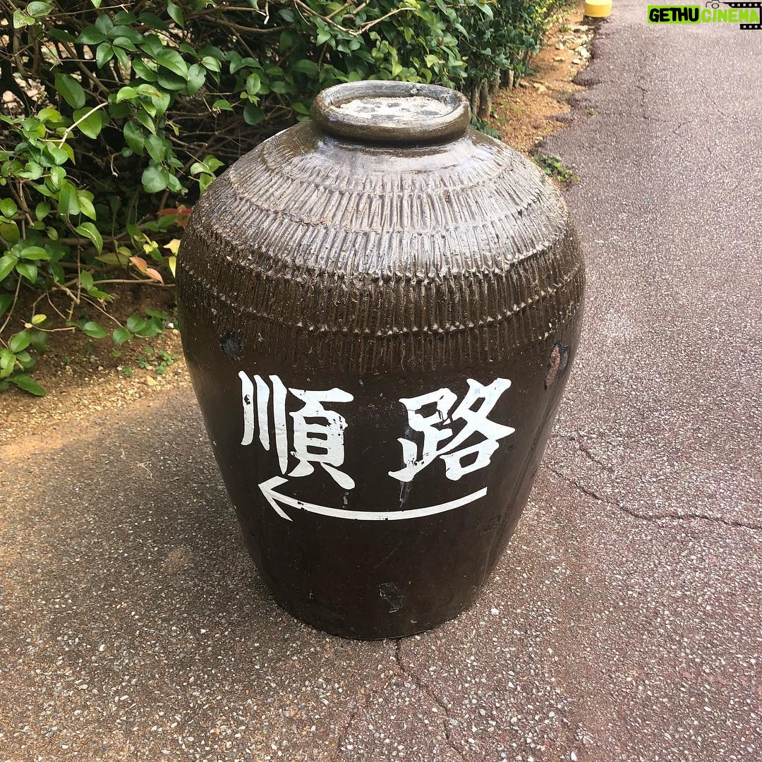 Issei Kobayashi Instagram - . . . みんなで おきなわワールドに いきました . . . そしてしんごの誕生日を お祝いしました . . . 21 . . . #沖縄