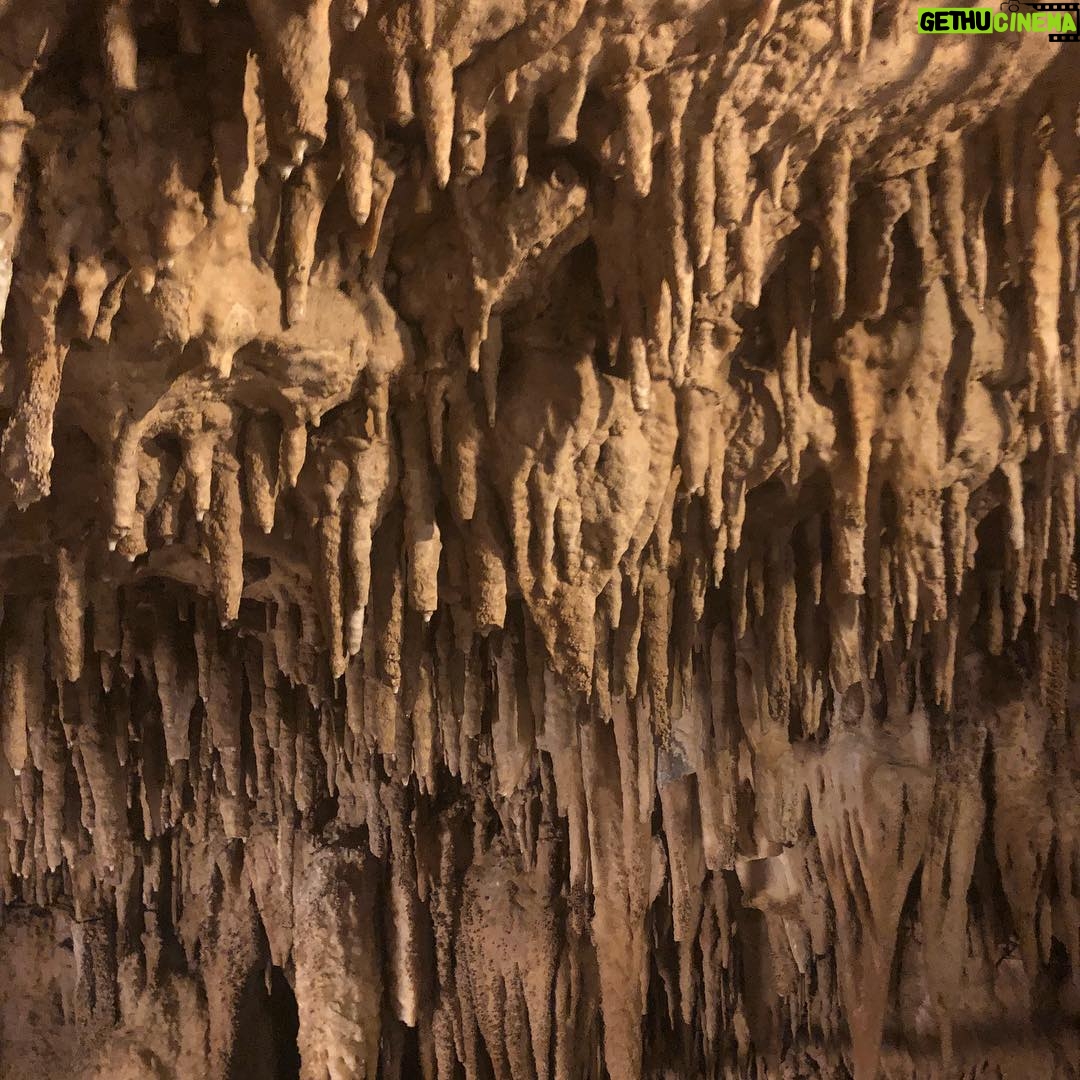 Issei Kobayashi Instagram - . . . みんなで おきなわワールドに いきました . . . そしてしんごの誕生日を お祝いしました . . . 21 . . . #沖縄