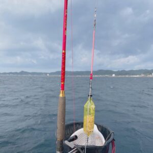 Itô Karin Instagram - .
.

釣りをした想い出🎣
大漁だ！🐟

また釣りたい…鯛…

.
.
#釣り