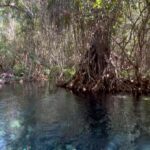 Itzan Escamilla Instagram - Dixebée Yucatán