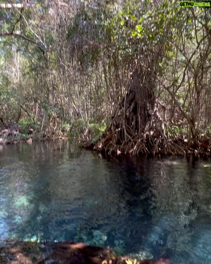 Itzan Escamilla Instagram - Dixebée Yucatán