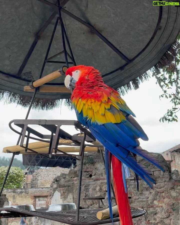 Itzan Escamilla Instagram - maybe to guate Guatemala