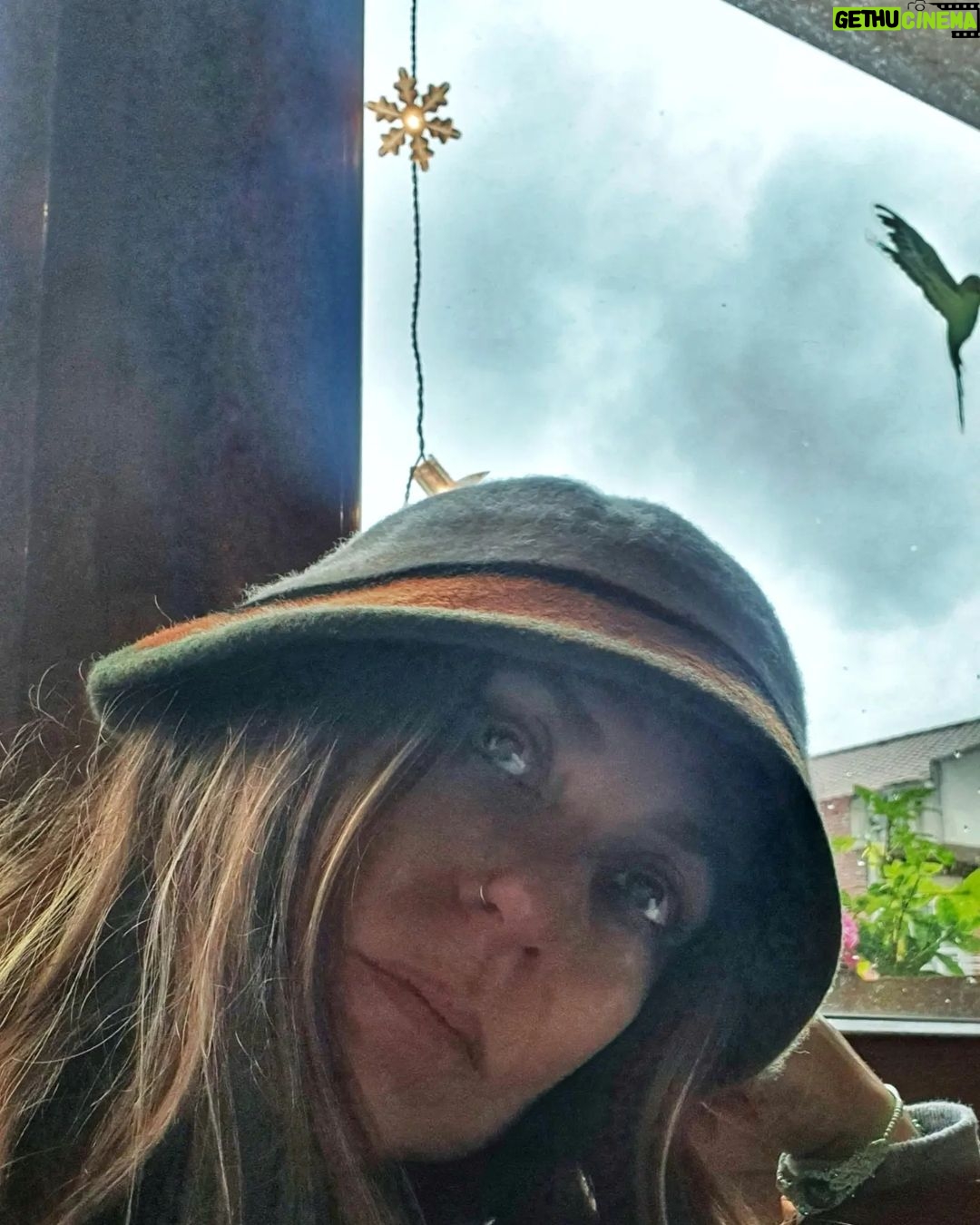 Itziar Ituño Instagram - Negua/ winter/ invierno Neguko hotzak kiribiltzera garamatza, barnera begira ipini arte. Gustuko dot neguko melankolia goxo hori, manta azpiko epeltasuna eta zenbat eta laburragoa eguna, zenbat eta argi ordu gitxiago barrenerako begirada argiago. Kuriosoa da. Ziklikoa. (El frio del invierno nos lleva a acurrucarnos hasta ponernos mirando hacia adentro. Me gusta esa melancolía invernal, la calidez debajo la manta y que cuanto más corto el día, cuantas menos horas de luz más clara la mirada interior. Es curioso. Cíclico. Kanta honen letra ezustean topatu dot orain SAVAGE DAUGHTER I am my mother's savage daughter The one who runs barefoot Cursing sharp stones I am my mother's savage daughter I will not cut my hair I will not lower my voice My mother's child is a savage She looks for her omens in the colors of stones In the faces of cats, in the falling of feathers In the dancing of fire In the curve of old bones I am my mother's savage daughter The one who runs barefoot Cursing sharp stones I am my mother's savage daughter I will not cut my hair I will not lower my voice My mother's child dances in darkness She sings heathen songs By the light of the moon And watches the stars and renames the planets And dreams she can reach them With a song and a broom I am my mother's savage daughter The one who runs barefoot Cursing sharp stones I am my mother's savage daughter I will not cut my hair I will not lower my voice We are all brought forth out of darkness Into this world, through blood and through pain And deep in our bones, the old songs are waking So sing them with voices if thunder and rain We are our mother's savage daughters The ones who run barefoot Cursing sharp stones We are our mother's savage daughters We will not cut our hair We will not lower our voice