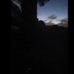 Itziar Ituño Instagram - "Lampyridae" Desagertzeko arriskuan dagoena. Bart, etxe ondoko mendian. Ipurtagia. (Lampyridae about to go extinct. Last night on the mountain next to my house. Beautiful firefly) Luciérnaga A las cinco de la tarde Cuando el resplandor se queda sin brillo y el jardín se sumerge en el último hervor dorado del día oigo el grupo bullicioso de niños que salen a cazar luciérnagas. Corriendo sobre el pasto se dispersan entre los arbustos, gritan su excitación, palpan su deslumbre. Se arma un círculo alrededor de la pequeña que muestra la encendida cuenca de sus manos titilando. Antiguo oficio humano éste de querer atrapar la luz. ¿Te acordás de la última vez que creímos poder iluminar la noche? El tiempo nos ha vaciado de fulgor pero la oscuridad sigue poblada de luciérnagas. (Giocconda Belli) #firefly #ipurtargi #luciernaga #bichodeluz #cocuyo