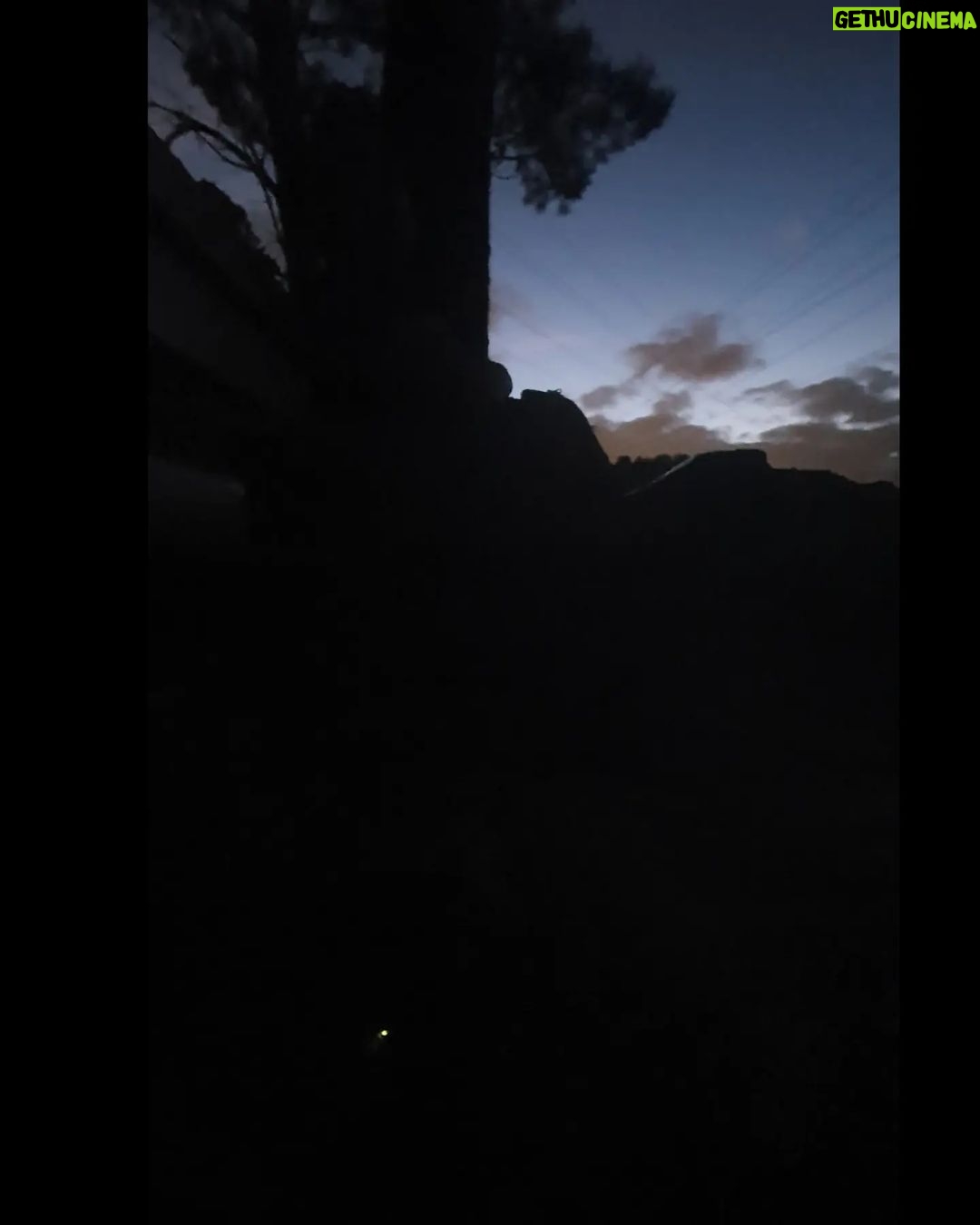 Itziar Ituño Instagram - "Lampyridae" Desagertzeko arriskuan dagoena. Bart, etxe ondoko mendian. Ipurtagia. (Lampyridae about to go extinct. Last night on the mountain next to my house. Beautiful firefly) Luciérnaga A las cinco de la tarde Cuando el resplandor se queda sin brillo y el jardín se sumerge en el último hervor dorado del día oigo el grupo bullicioso de niños que salen a cazar luciérnagas. Corriendo sobre el pasto se dispersan entre los arbustos, gritan su excitación, palpan su deslumbre. Se arma un círculo alrededor de la pequeña que muestra la encendida cuenca de sus manos titilando. Antiguo oficio humano éste de querer atrapar la luz. ¿Te acordás de la última vez que creímos poder iluminar la noche? El tiempo nos ha vaciado de fulgor pero la oscuridad sigue poblada de luciérnagas. (Giocconda Belli) #firefly #ipurtargi #luciernaga #bichodeluz #cocuyo