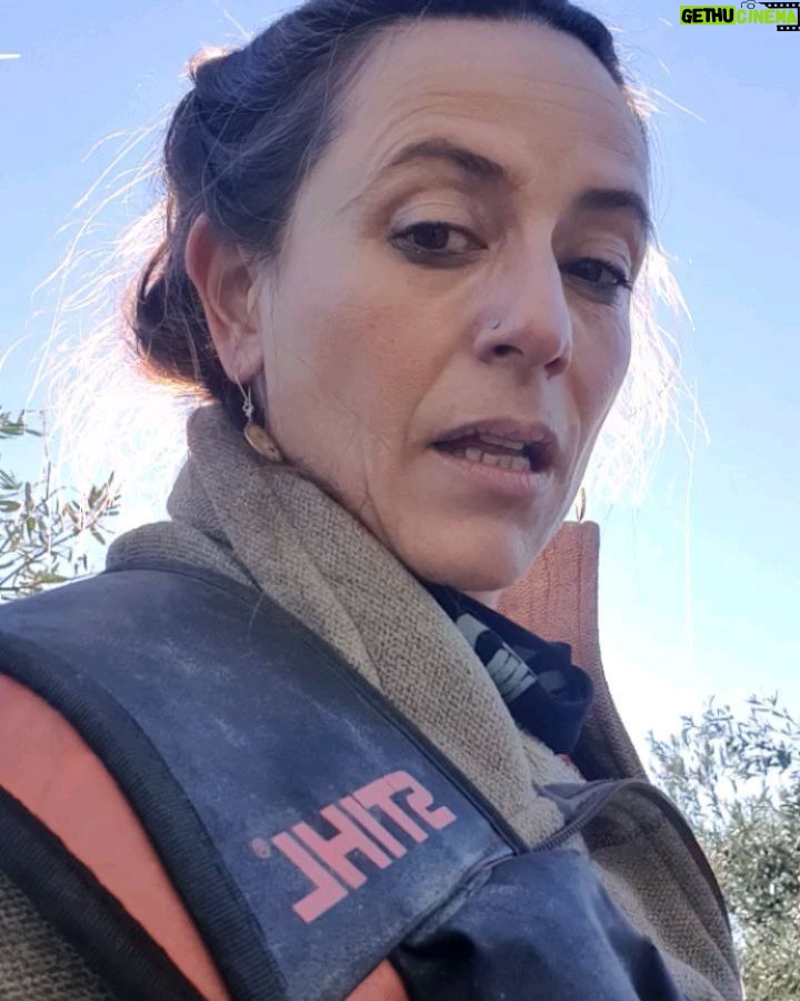 Itziar Ituño Instagram - Oliben azken eguna. Lortu egin dogu✊️ (1830 kilo)🤩✊️