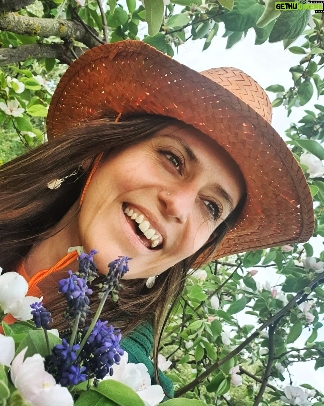 Itziar Ituño Instagram - Irasagarrondo hau fruituz betea ikusi dot maiz. Lehenengo aldia da loretan ikusten dotena eta ikuskizun ederra da. He visto muchas veces éste arbol de membrillo cargado de fruta pero es la primera vez que lo veo en flor. Todo un espectáculo🌸 #selfie #arboldemembrillo #irasagarrondoa
