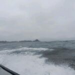 Itziar Ituño Instagram - Fin balea bizirik ikusteak Txileko kostaldeetan sano ta pozik gure sarraskitutako eukal bale txikia "balaena bizcayensis" ekarri doste gogora. Zenbat min animali zoragarri, baketsu eta eder honeri. Ez deurie merezi. "Ni itsas xoria baintz Iparreko izotz lurretarat Joan nintaike hegaldaka Bale itsu gizenen ondotik Itsasoa harro dago Haizeak oro txarrean Eta gu ezin kontsola Etxe goxoa gogoan harturik" (Bale ihizi)/ #ballenafin #chañaraldeaceituno #chile #balaeneabizcayensis #eubalaenaglacialis #baleak Ver las ballenas fin en las costas de Chile, sanas, felices me hizo recordar a nuestra pequeña ballena vasca que exterminamos :"balaenea bizcayensis". Cuanto mal a éste maravilloso, pacífico y bello animal. No lo merecen. "Si yo fuese un ave marina Hacia las tierras heladas del norte Iría volando Junto a las ciegas y enormes ballenas El mar está embravecido Todos los vientos son malos Y nosotr@s sin consuelo Añorando el dulce hogar" Erretratua📸 @psiconaisei
