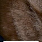 Ivan Polovinkin Instagram - Собака или нет? #comedyclub #tnt #половинкин #прикол #жиза #собака