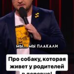 Ivan Polovinkin Instagram - Про собаку, которая живет у родителей в деревне! #comedyclub #tnt #половинкин #юмор #собака #друг #родители