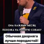 Ivan Polovinkin Instagram - Обычная дворняга лучше породистой! #comedyclub #comedy #tnt #половинкин #собака #друг #жиза #приколы #москва #юмор Moscow, Russia