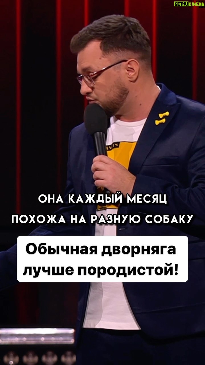 Ivan Polovinkin Instagram - Обычная дворняга лучше породистой! #comedyclub #comedy #tnt #половинкин #собака #друг #жиза #приколы #москва #юмор Moscow, Russia