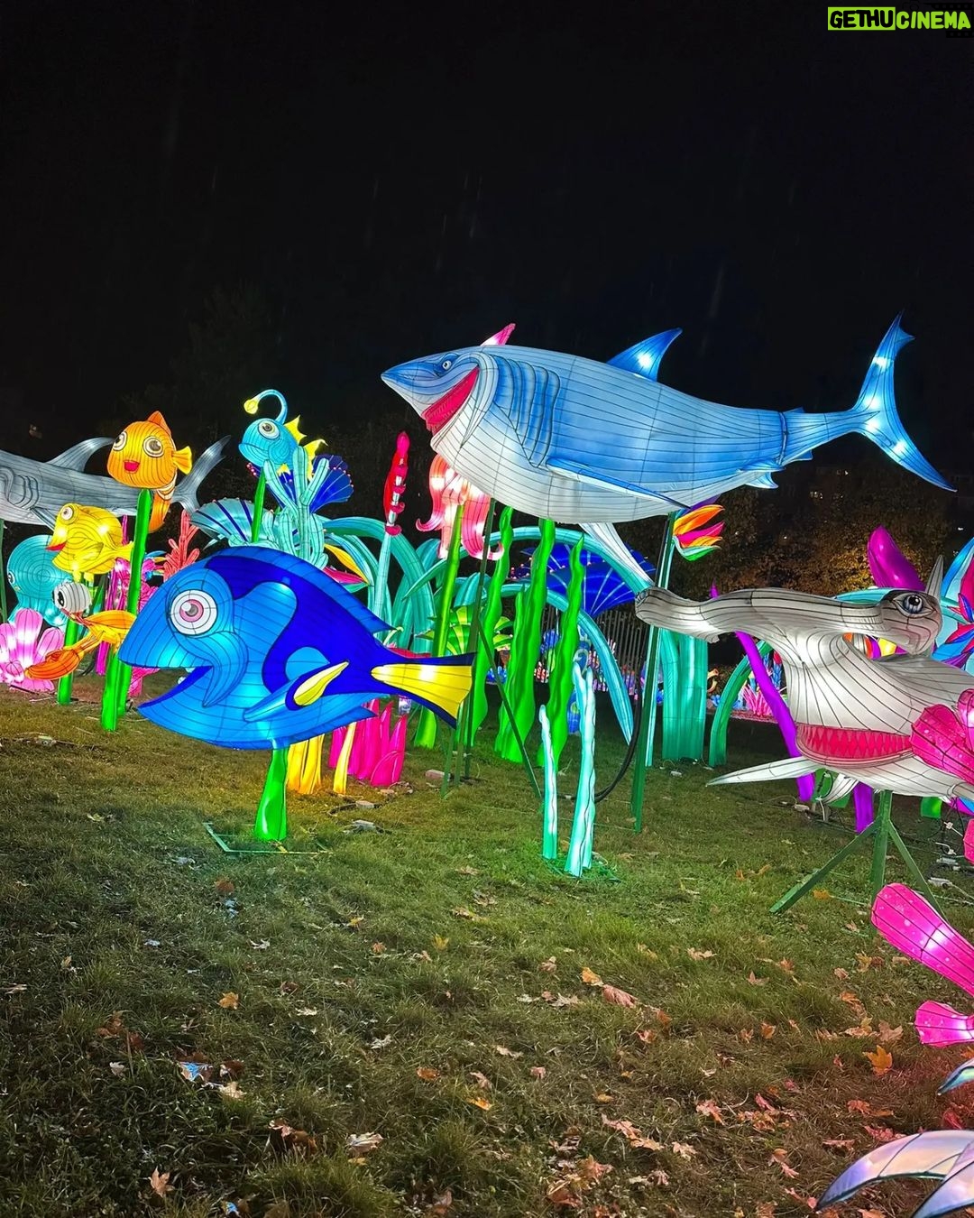 Iveta Lutovská Instagram - Světelná výstava @winterwonderlandcz 💡 - dávám sem jako tip na moc hezký rodinný výlet 😉 #tipnavylet #vystava #svetylka #zazitek Praha-Letňany