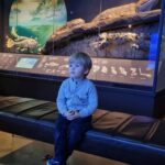 Iveta Lutovská Instagram - Národní muzeum. Tolik zajímavostí pohromadě - škoda že si na to Matýsek nebude pamatovat🙈... I když mamut ho tak zaujal, že snad aspoň na něj nezapomene😉. A viděli jsme i Věstonickou Venuši, která je v muzeu jen na návštěvě💫 (A dnes je vstup do muzea zdarma😉). #narodnimuzeum #vylet Národní muzeum Praha