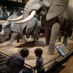 Iveta Lutovská Instagram - Národní muzeum. Tolik zajímavostí pohromadě - škoda že si na to Matýsek nebude pamatovat🙈... I když mamut ho tak zaujal, že snad aspoň na něj nezapomene😉. A viděli jsme i Věstonickou Venuši, která je v muzeu jen na návštěvě💫 (A dnes je vstup do muzea zdarma😉). #narodnimuzeum #vylet Národní muzeum Praha