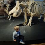 Iveta Lutovská Instagram - Národní muzeum. Tolik zajímavostí pohromadě - škoda že si na to Matýsek nebude pamatovat🙈... I když mamut ho tak zaujal, že snad aspoň na něj nezapomene😉. A viděli jsme i Věstonickou Venuši, která je v muzeu jen na návštěvě💫 (A dnes je vstup do muzea zdarma😉). #narodnimuzeum #vylet Národní muzeum Praha